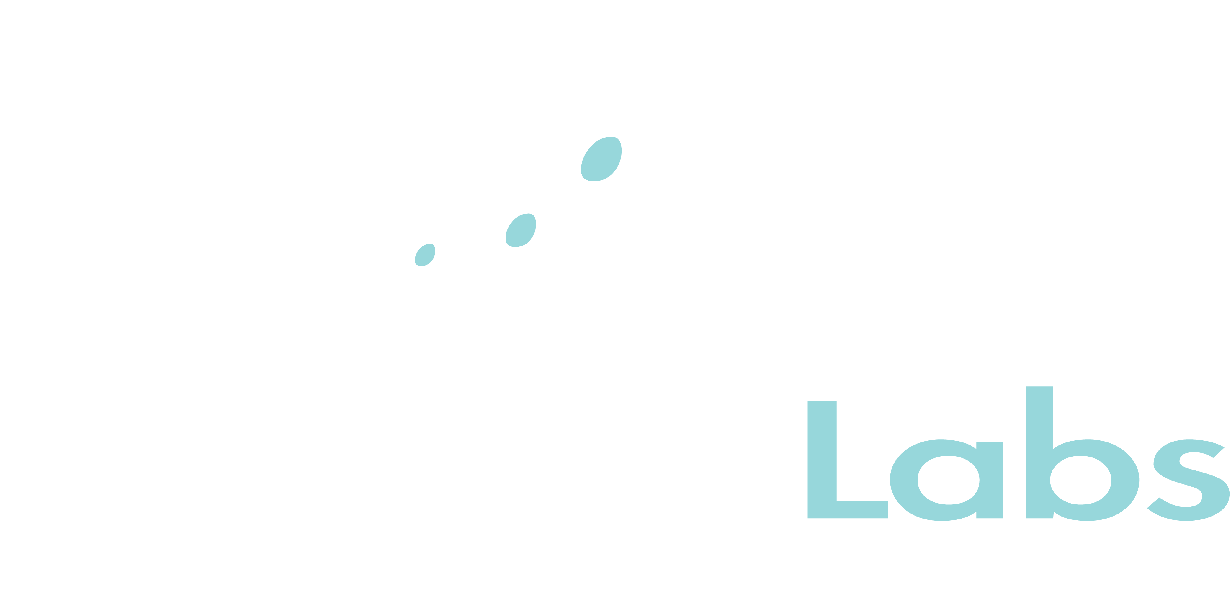 Lewens Labs Logo